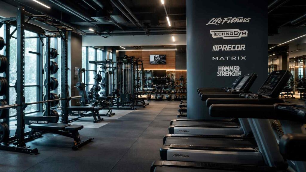 Top Gym Equipment Brands